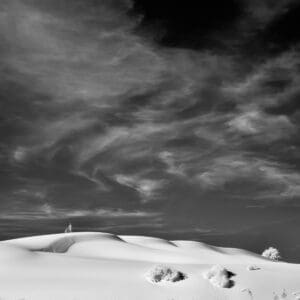 This photograph of the majestic dunes at White Sands National Park is one of several prints that will be exhibited at the Branigan Cultural Center.