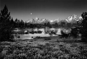 A black and white image of nature scenery.