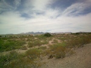 Desert landscape