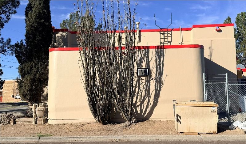 Side of a fire station building with plants growing in front of it.