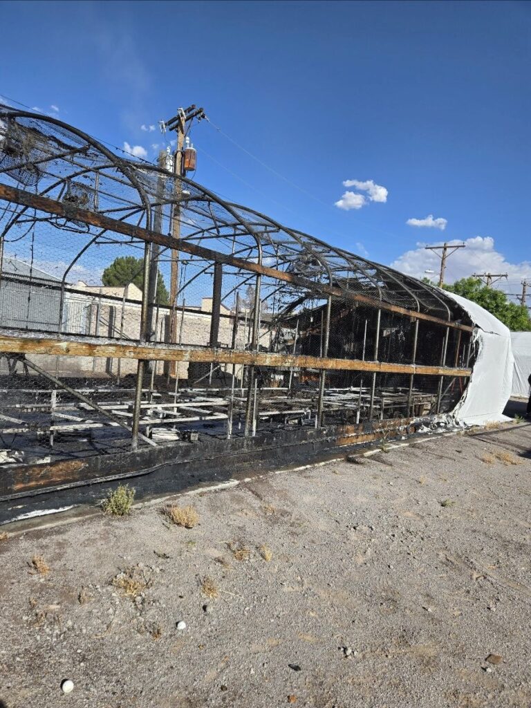 photo of a greenhouse on fire