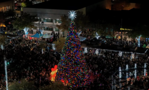 a photo of a Holiday tree on the plaza with light and star.